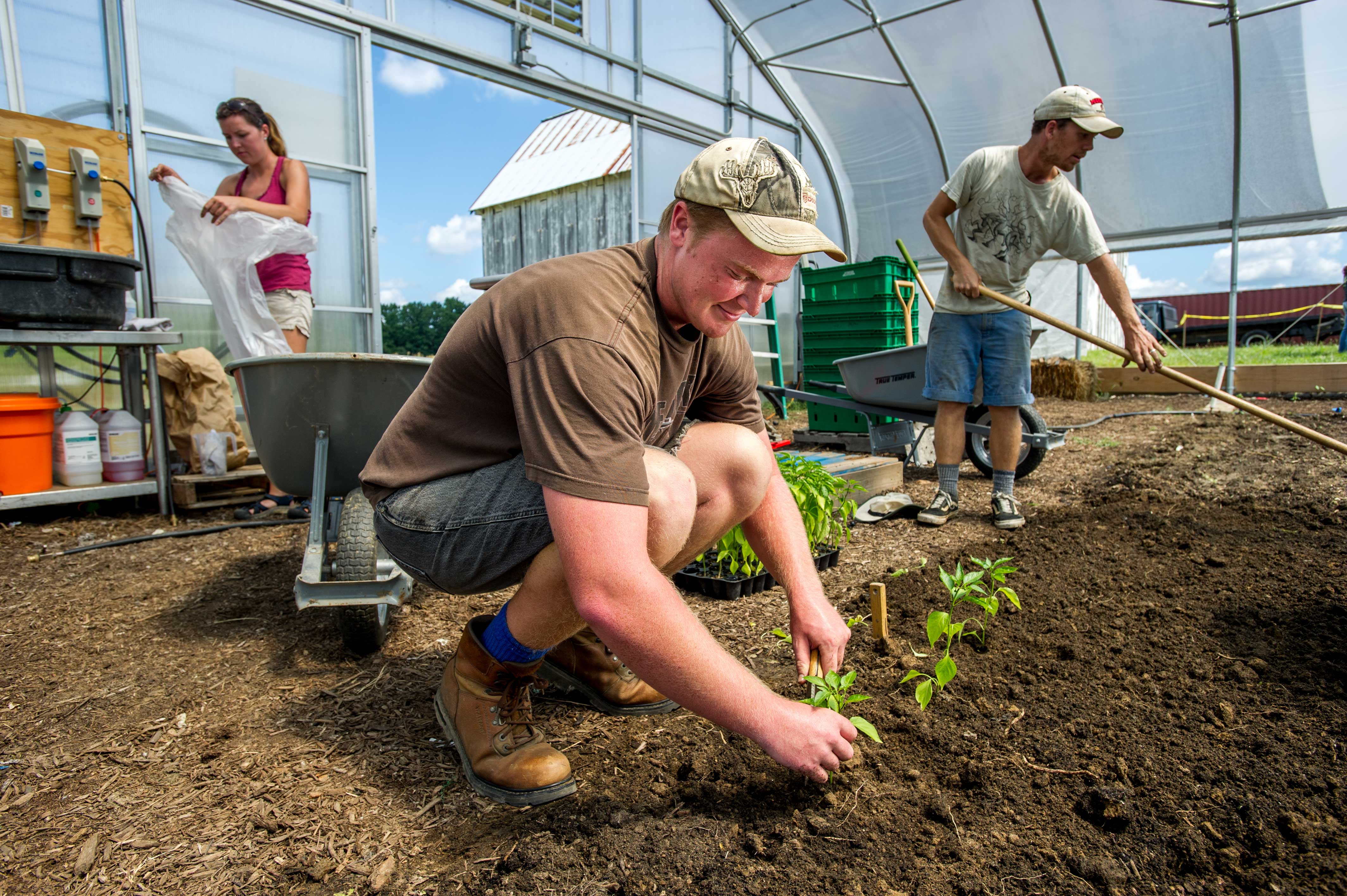 Students at farm