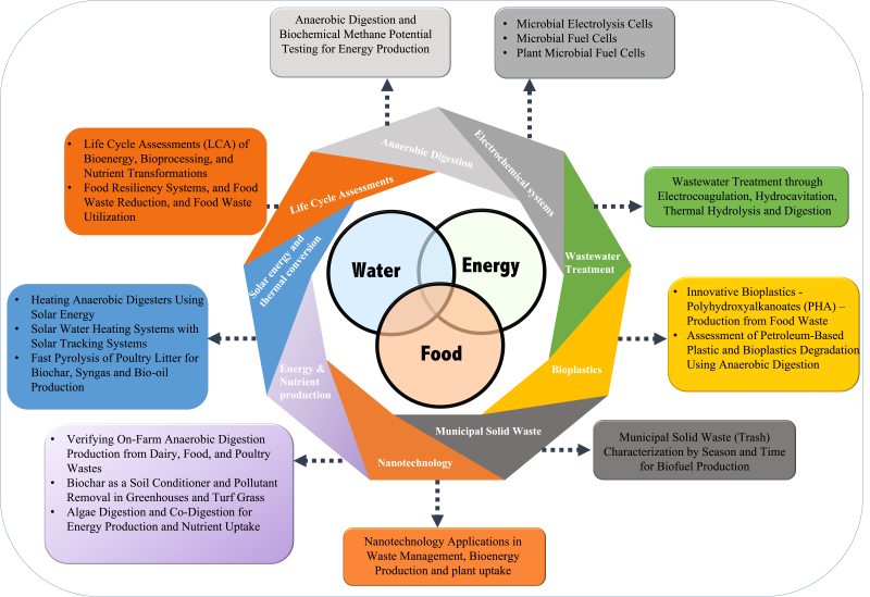 Dr Amro Hassanein Research Areas